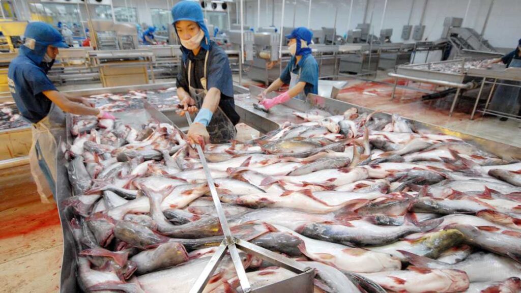 صادرات ماهی اوزون برون چگونه انجام می شود؟