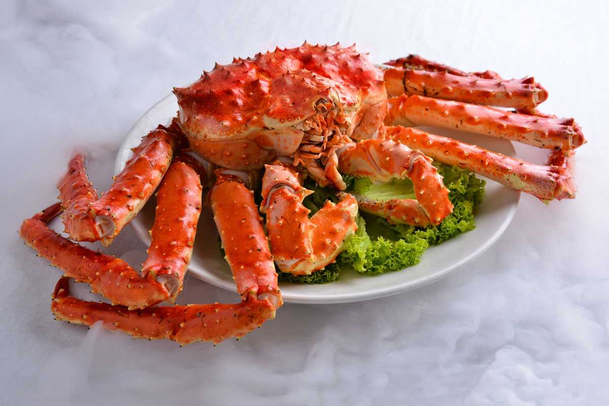 5 فایده مهم مصرف غذاهای دریایی برای بدن