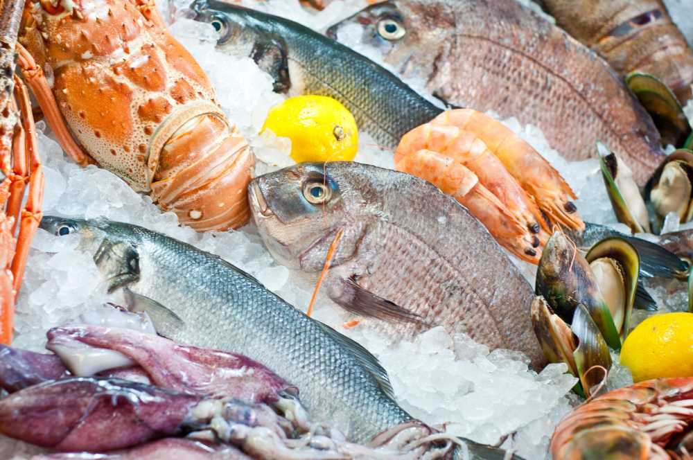 روش های تشخیص ماهی تازه و سالم