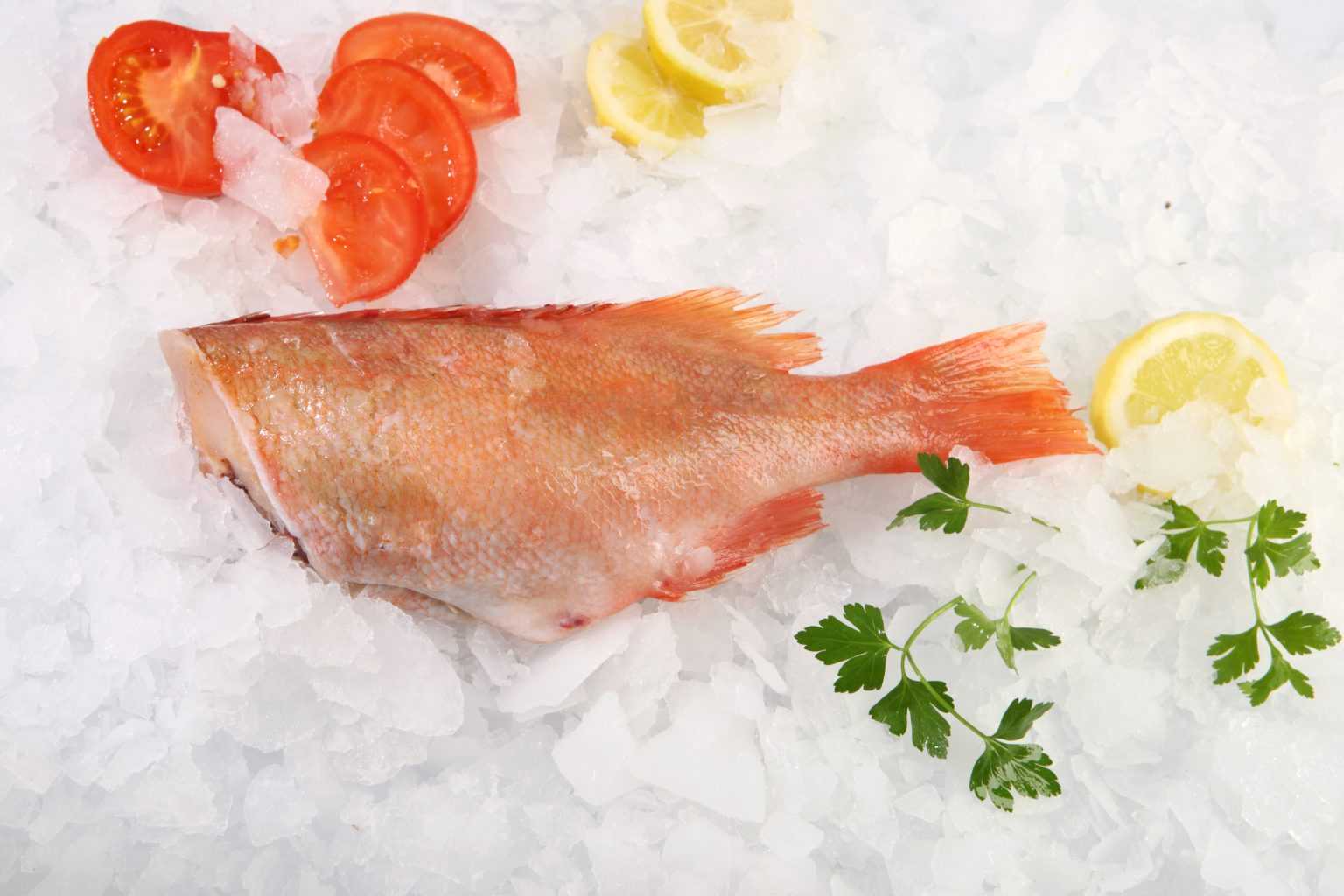اهمیت مصرف ماهی و خاویار ماهی اوزون برون