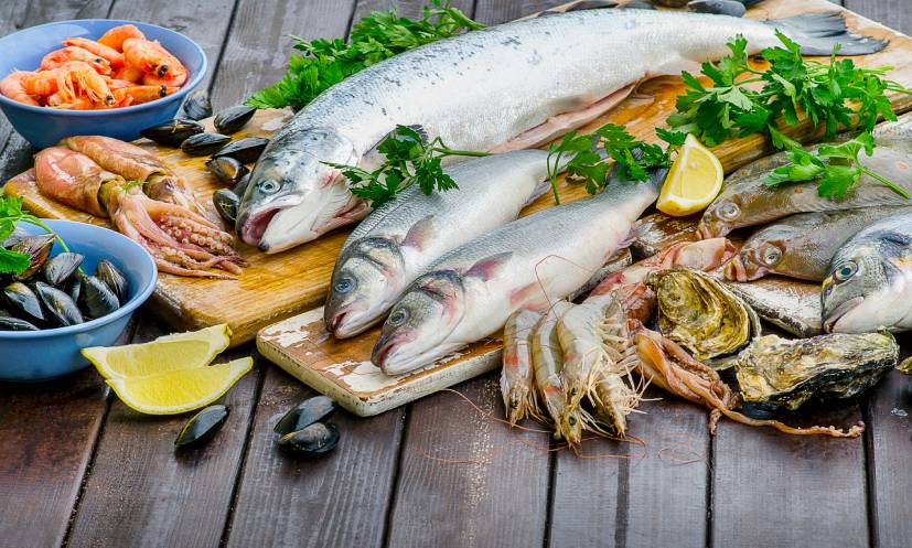 مصرف ماهی اوزون برون در فصل تابستان